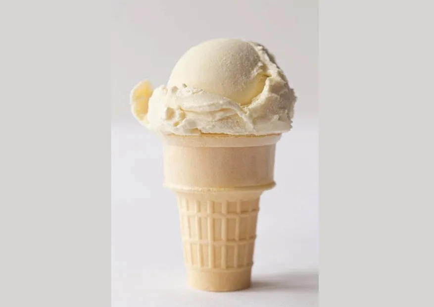 Foxi. The tailwind astro theme