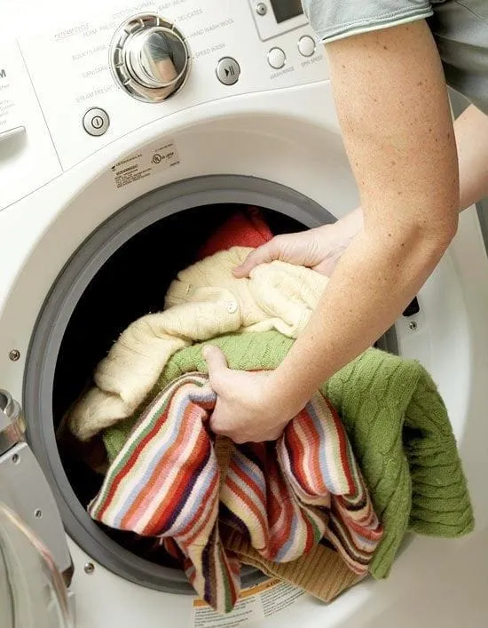 Foxi. The tailwind astro theme